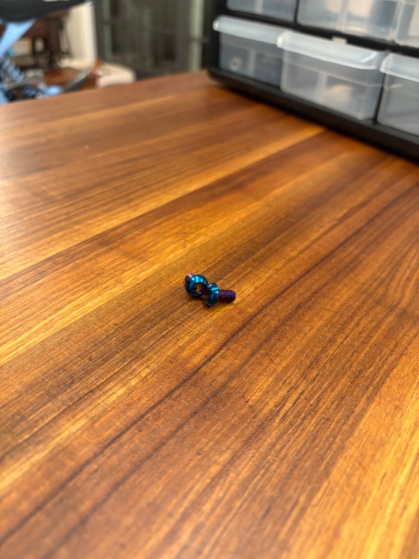 Motor Cover Titanium Bolts (set of 2)